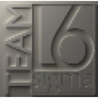 TEAM Lean Six Sigma BV Logo