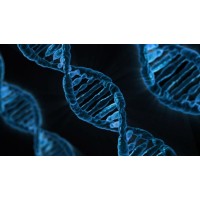 Genomics Logo