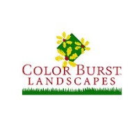 Color Burst Landscapes-Brentwood Logo