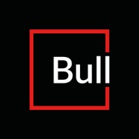 Bull&Company Consulting Logo