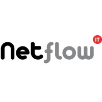 Netflow bv Logo