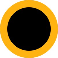 Robotic Imaging® Logo