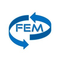 FEM Consulting Logo