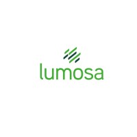 Lumosa Belux BV Logo
