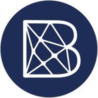 Blue Service | Inteligência em Assistência e Benefícios Logo