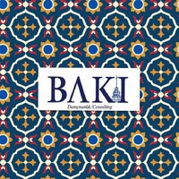 Baki International Consulting Logo