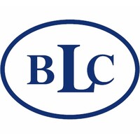 Blue Line Consulting GmbH Logo