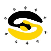 Solideirb Enseirb-Matmeca Logo
