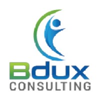 BDUX Consulting Logo