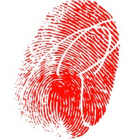 Selvaggio SA Logo