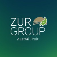 Zur Group Logo