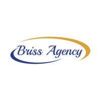 Briss Agency Logo