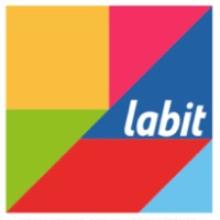 Labit Consulting (Pty) Ltd Logo