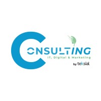 Teksial Consulting Logo