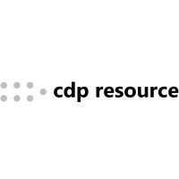 CDP Resource - independent customer data platform analyst Logo