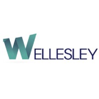 Wellesley Partners SL Logo