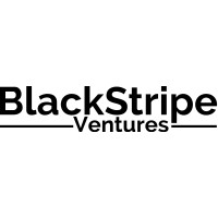 BlackStripe Ventures Logo