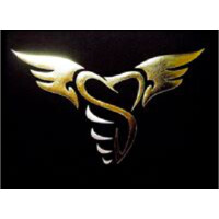 Buffalo Dental Implant Logo