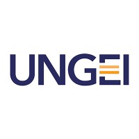 UN Girls Education Initiative (UNGEI) Logo