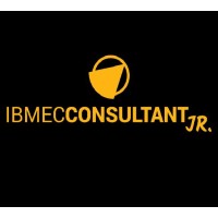 Ibmec Consultant Jr. Logo