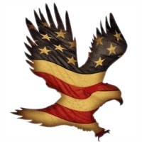 Sons of the Flag - Revolutionizing Burn Care Logo