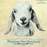 Mountain View Sanctuary Inc 501(c)3 Nonprofit Organization Logo