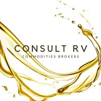 Consult RV Logo