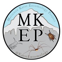 Matienzo Karst Entomology Project Logo