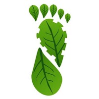 Floresta Jr. - Consultoria Florestal Logo