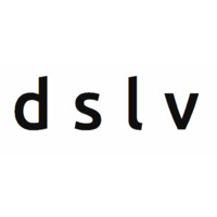 d s l v studio Logo