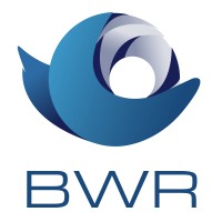 BWR_MEX Logo