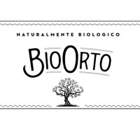 BioOrto Logo