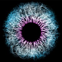 PinPoint Data Science Logo