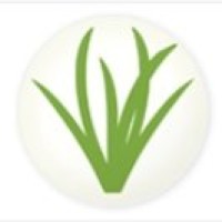 Vxplore Technologies Logo