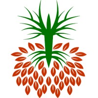 Ephesus Logo