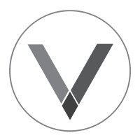 Venturesoft Logo