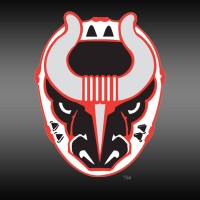 Birmingham Bulls Hockey Logo