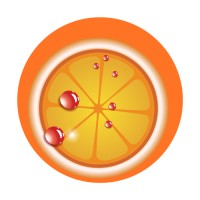 Netorange Logo