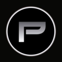 Platinum Ciberseguridad Logo