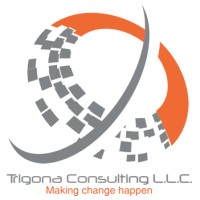 Trigona Consulting L.L.C. Logo