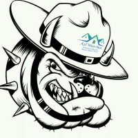 A2Z Wash Pros Exterior Services Logo