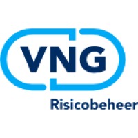 VNG Risicobeheer / RPO / RisicoLAB Logo