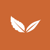 Herbal Mist Teas Logo