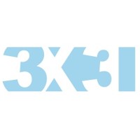 3X3I b.v. Logo