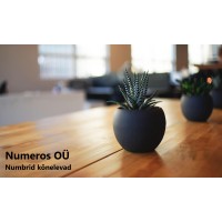Numeros Logo