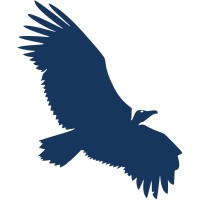 Condor Instruments Logo