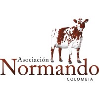 Asonormando Logo