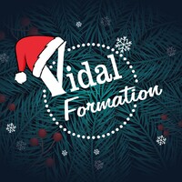 Vidal Formation Logo