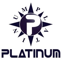Platinum Group SA Logo