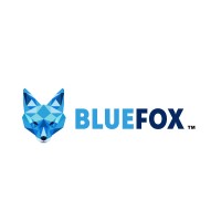 Blue Fox Consulting Logo